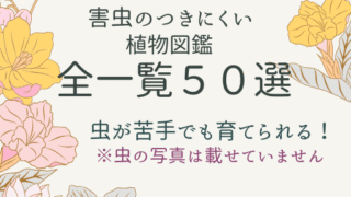 【害虫のつきにくい植物図鑑】全一覧５０選