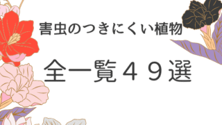 【全一覧４９選】害虫のつきにくい植物