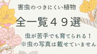 害虫のつきにくい植物４９選【全一覧】