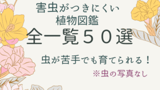 【虫がつきにくい植物図鑑】花・庭木・ハーブ50選｜成長記録付き〈保存版〉