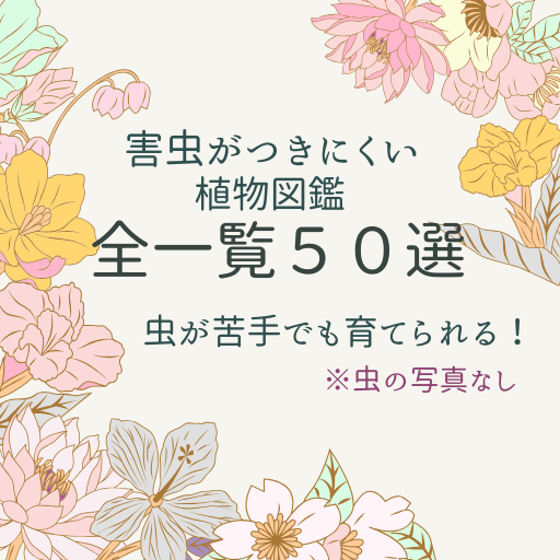 【虫がつかない植物図鑑】害虫に強い！花・庭木・ハーブ50選〈保存版〉