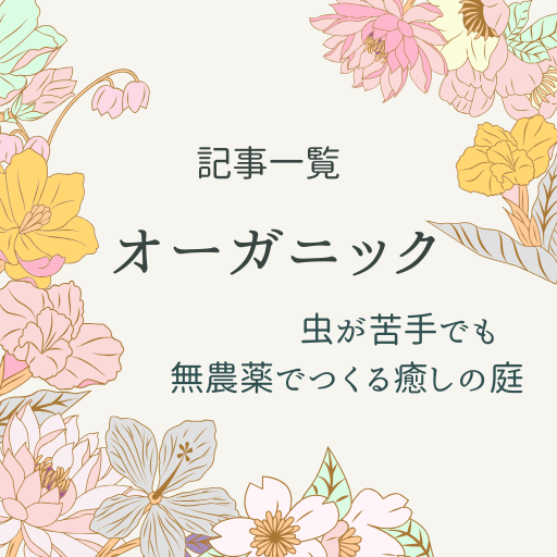虫が苦手でも安心！育てやすく虫のつかない植物とオーガニックの庭づくり