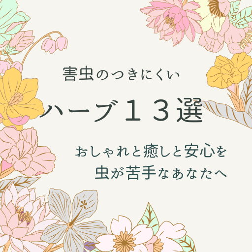 虫が苦手でも安心！おしゃれと癒しのハーブ１３選