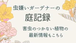 虫嫌いガーデナーの庭記録
