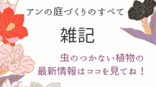 雑記